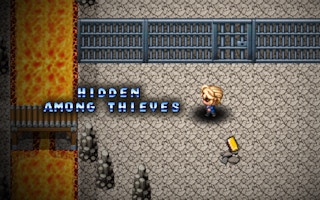 Image Hidden Among Thieves