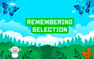 Image Remembering Selection